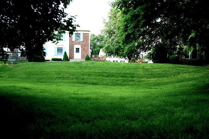 газон симферополь