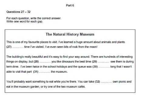 Pet reading 5