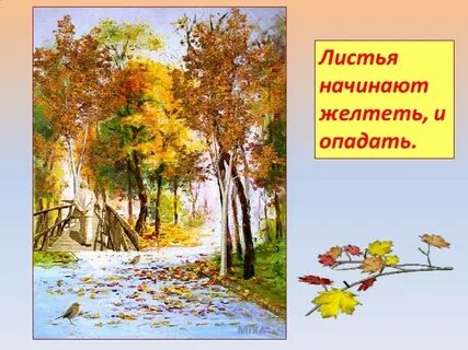 Сыплет дождик большие горошины рвется