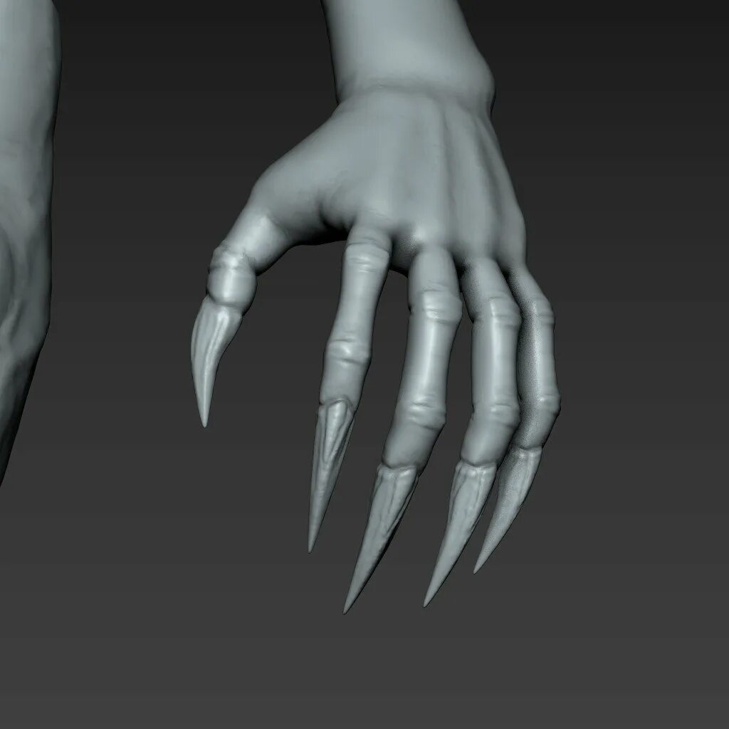 острые пальцы. острые пальцы. кольцо коготь. острые пальцы. металлические когти.