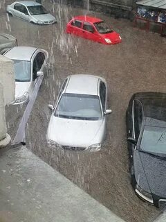 Нижний залило