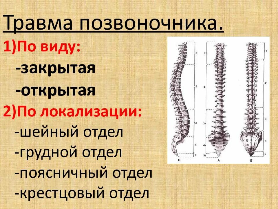 Виды повреждений позвоночника. Классификация травм позвоночника и спинного мозга. Травма позвоночника, спины.