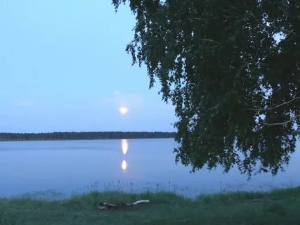 Утичье курганская область