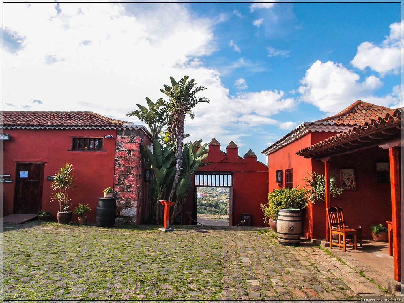 Вино каса дель торо. Alma del toro вино. Картинки торо кэт. Casa del toro вино. Casa del toro вино.