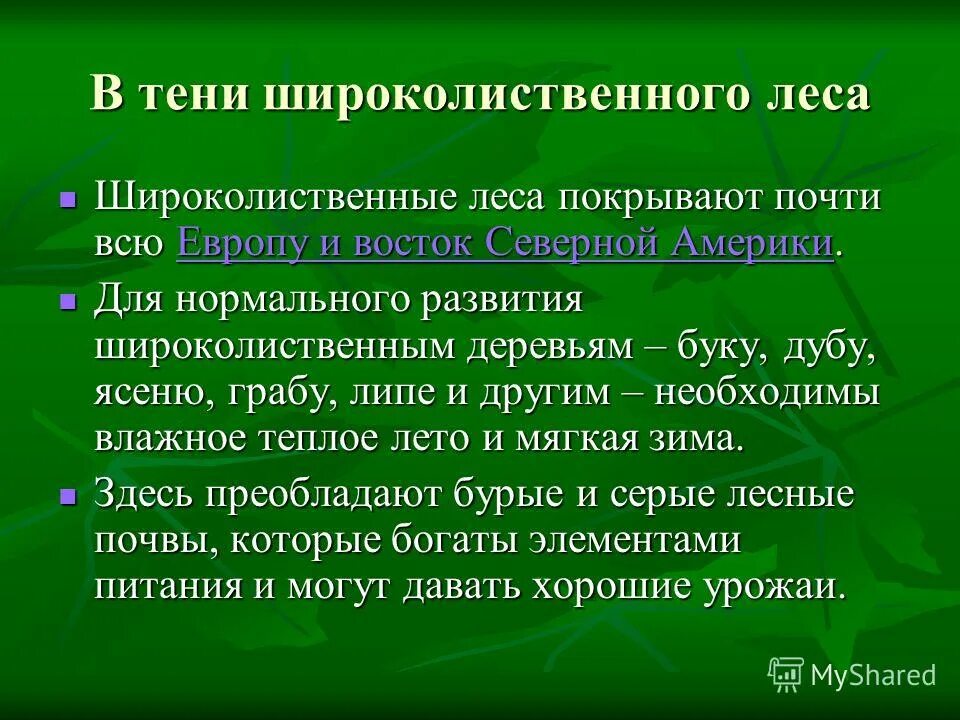 природная зона смешанных и широколиственных лесов. хвойные широколиственные мелколиственные деревья. полезные ископаемые широколиственных лесов. смешанные леса ресурсы. смешанные и широколиственные леса природные ресурсы.