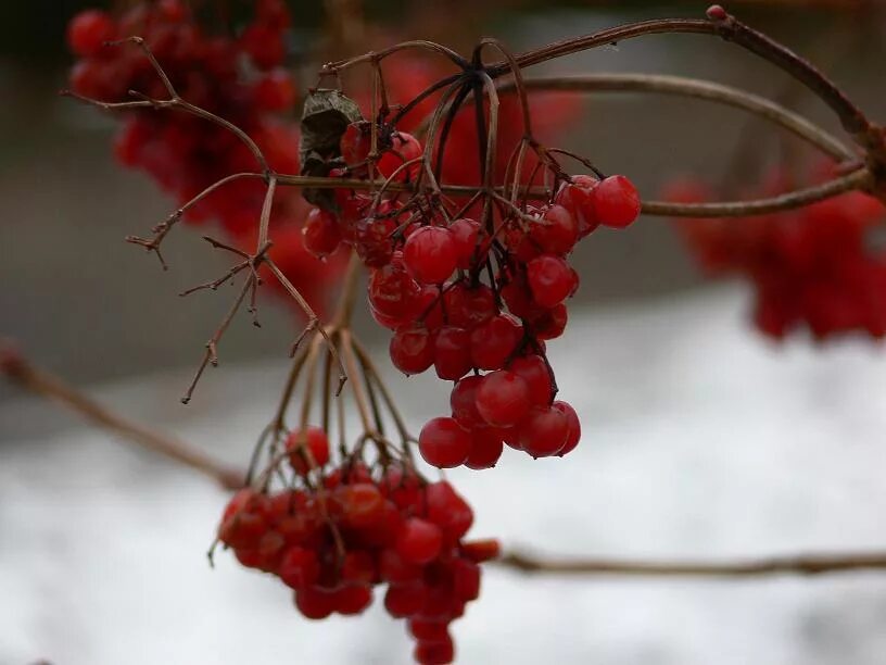 Калина в снегу. Калина 1118 дует холодный воздух на лобовое. Как сделать калину теплее. Переключатель обдува воздуха лада гранта. Отопитель салона лада калина универсал-1.
