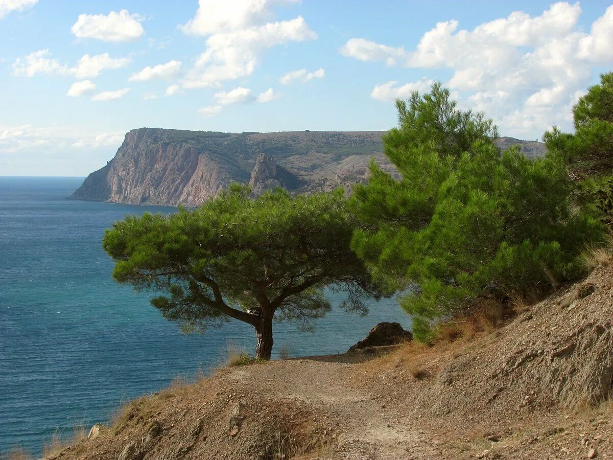 мыс мартьян в крыму. заповедник мартьян крым. мыс мартьян заповедник. заповедник мыс мартьян в крыму. заповедник мыс.