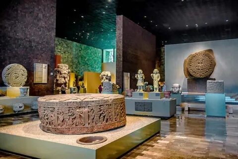 Museum anthropology