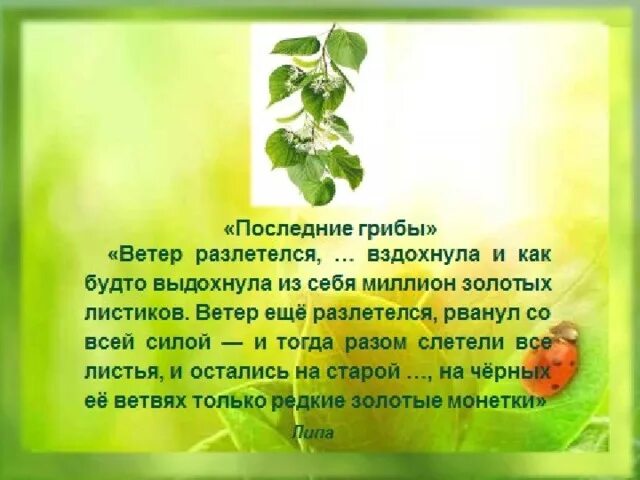 Последний стих текст. М пришвин последние грибы текст. Пришвин последние грибы текст. Пришвин стихотворение последние грибы.