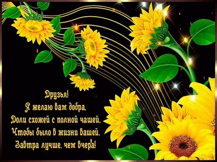 Как правильно пожелать доброго