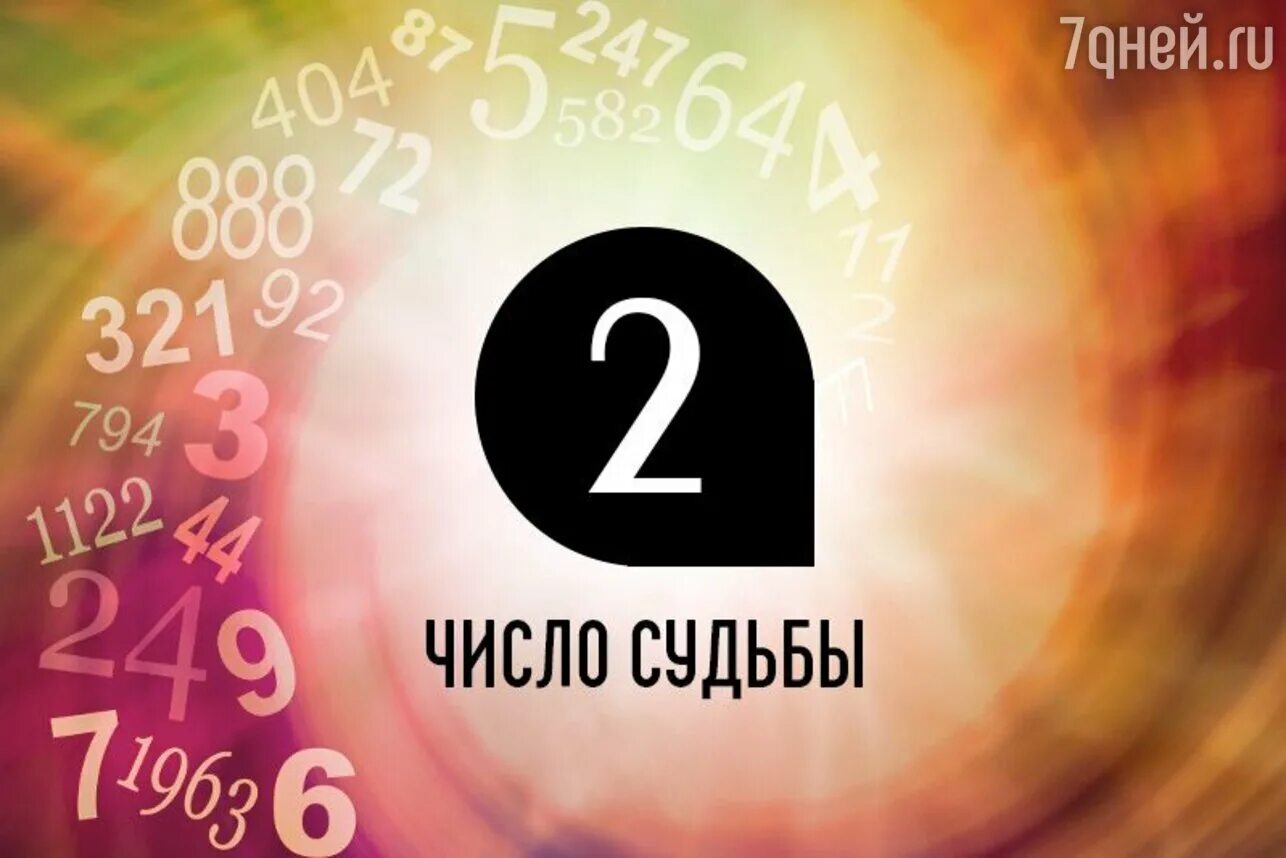 Нумерология 9 судьбы. Число и судьба. Цифра судьбы. Нумерология число судьбы 9. Нумерология число судьбы 2.