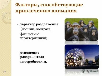 Факторы привлечения внимания