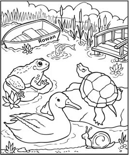 Lake coloring books