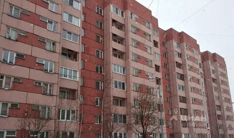 Пискаревский 37 2