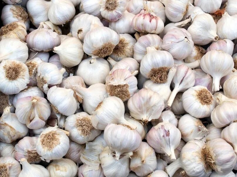 The Basics of Growing Garlic Container gardening, Herb garden in kitchen, Garden