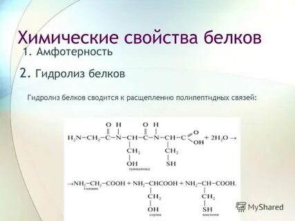 Физико химические свойства белков денатурация