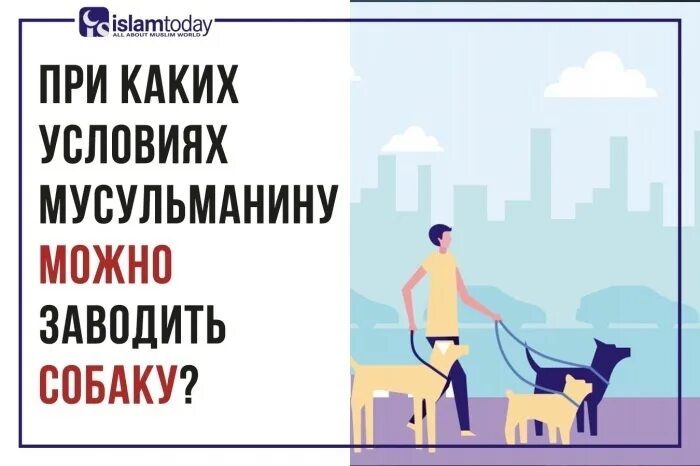Почему нельзя собак в исламе. Харам в исламе собака. собака в исламе хадисы. собака в доме в исламе. почему мусульманам нельзя держать собаку в доме.