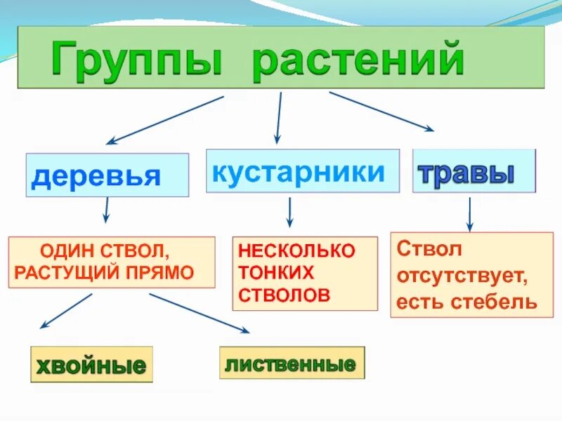 Окружающий мир названия групп