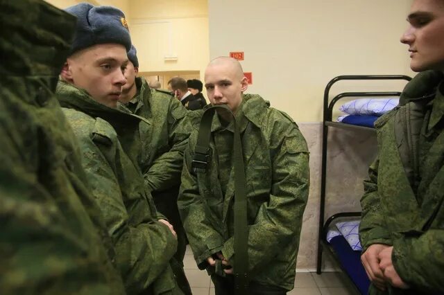 Почему срочники в курске