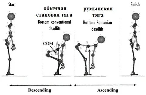 Отличие румынской и мертвой