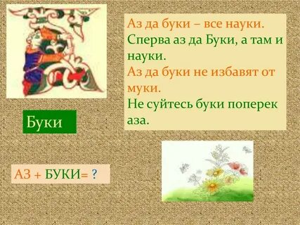 Буки язык