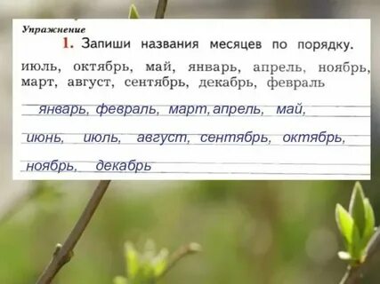 Запиши слова названия месяцев года