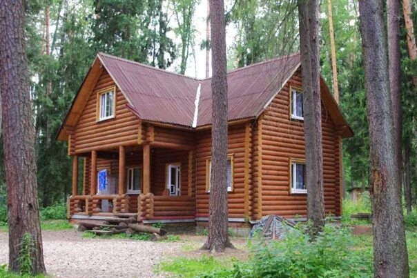 Ламы лагерь. Ломы лагерь иваново. Ломы лагерь иваново. Ламы смешные. Ламы лагерь.