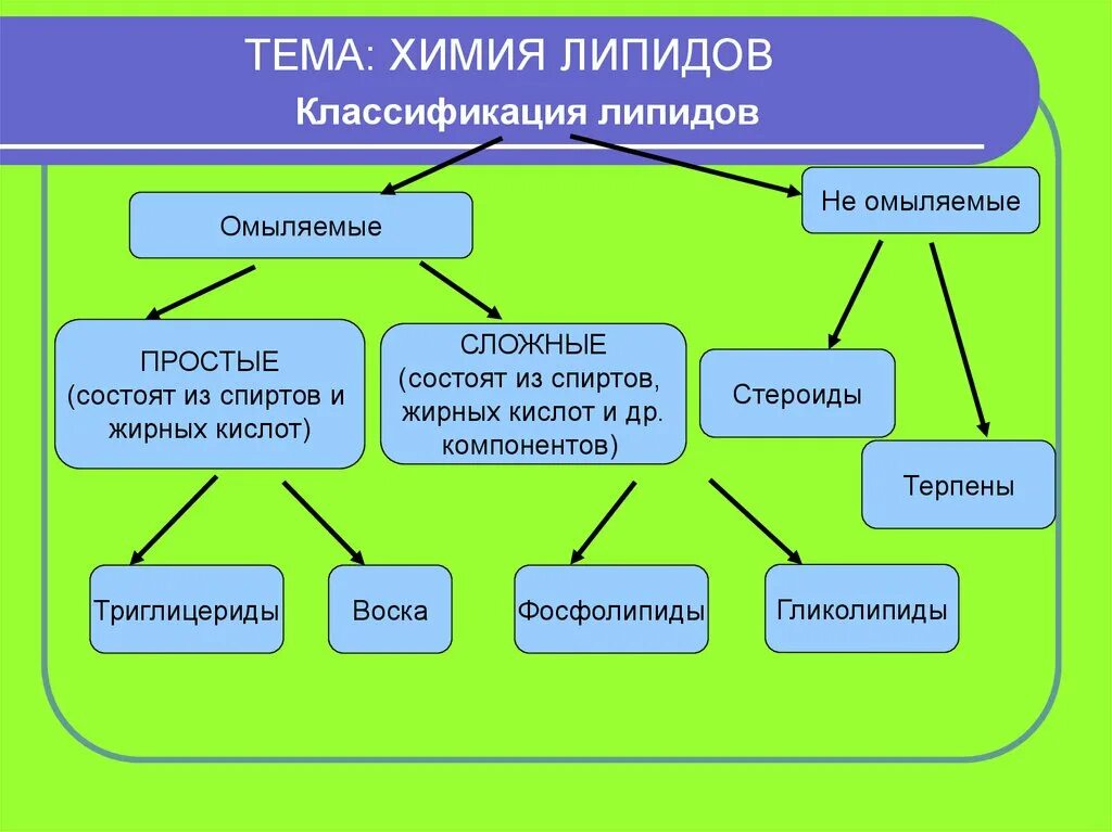 Основные липиды тканей человека. Классификация жиров и липидов. Состав липидов и их классификация. Классификация липидов простые и сложные. Химическая структура липидов.