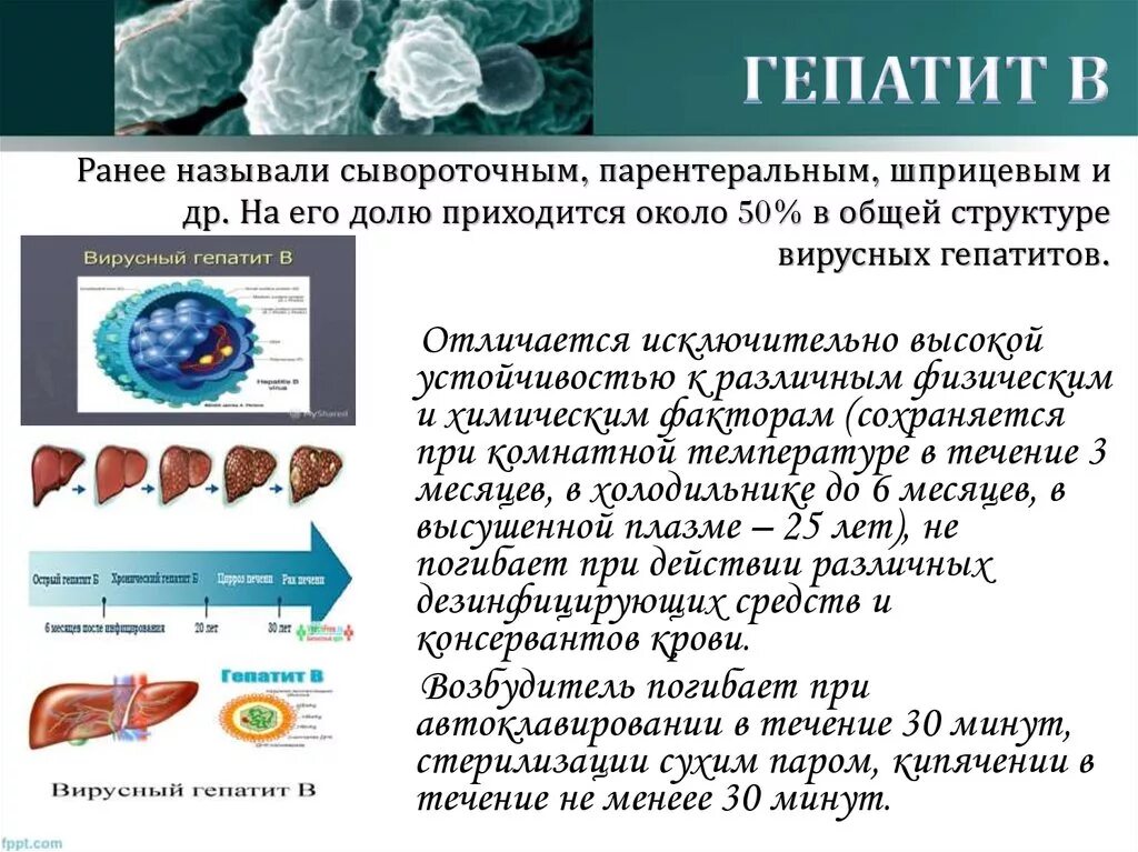 Возбудители вирусных кровяных инфекций. Бактериальный гепатит возбудители. Инфекционный гепатит возбудитель. Возбудители вирусных кровяных инфекций микробиология.