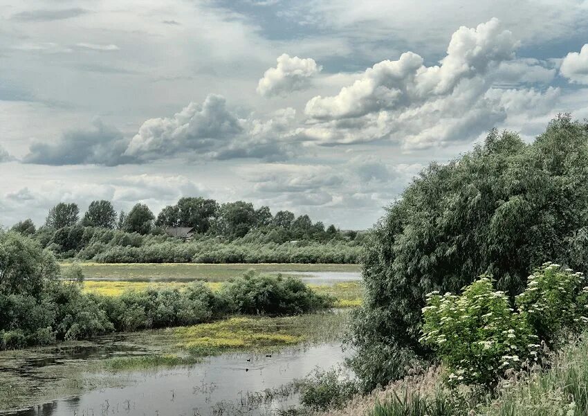 Село рассвет алтайский край. Усадьба калинова долина смоленск. Город калинов фото. Калинов луг. Природа калинова.