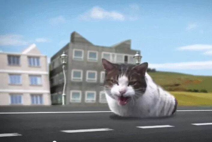 Cyriak welcome to kitty city. Cyriak кити сити. Kitty city песня. Кот welcome to kitty city. Cyriak welcome to kitty city.