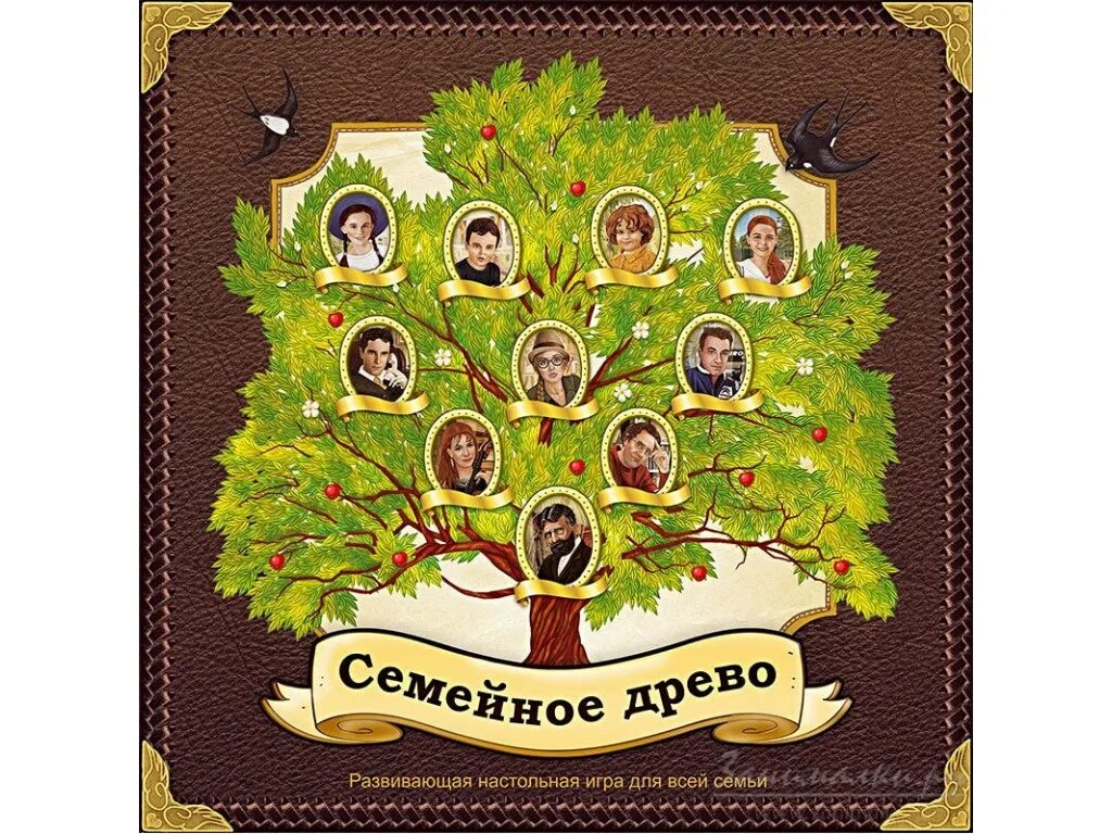 Как выглядит древо. Как выглядит древо