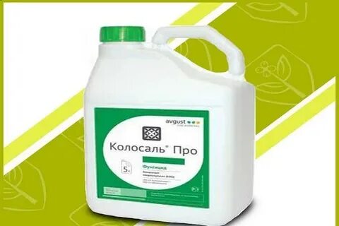 Колосаль про