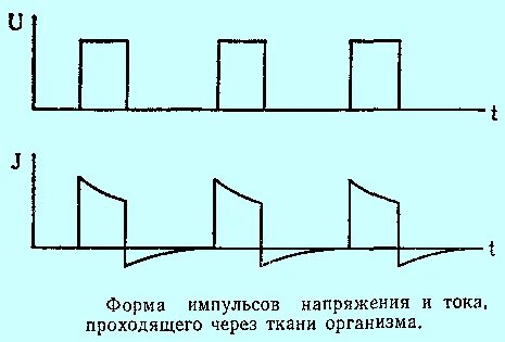 Ток лови