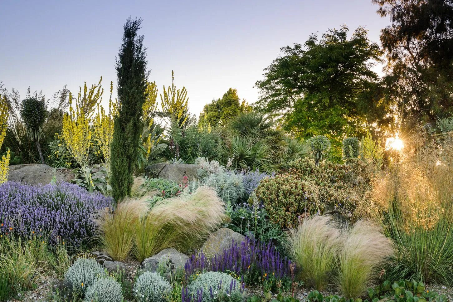 GardenArt Group Garden landscape design, California garden, Privacy plants