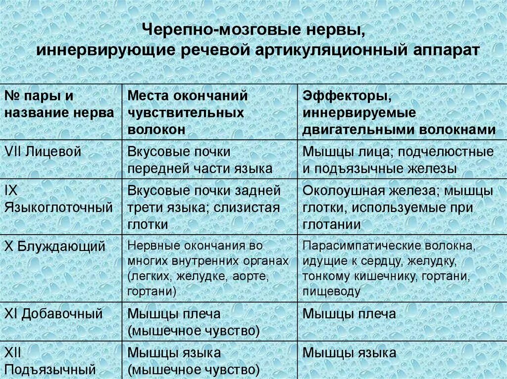 12 Пар черепно мозговых нервов таблица. 12 Пар черепных нервов таблица функции. Иннервация черепных нервов таблица. Черепные нервы иннервация таблица.