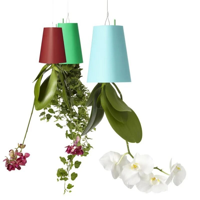 Цветы вверх. Цветы вверх. Тюльпаны в природе. Комнатные растения под потолком. Свисающие цветы комнатные.