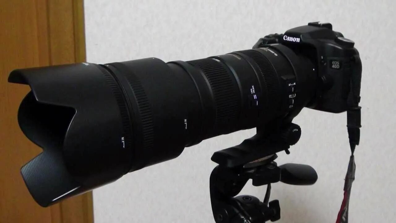 Sigma 500mm. Sigma 50-500 f4,5-6,3 apo DG os. Sigma 50-500mm f/ 4-6.3 DG apo ex. Sigma af 50-500mm f/4.5-6.3 apo DG os HSM Nikon f. Sigma 50-500 mm f/4.5-6.3.