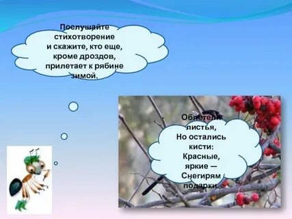 Птицы стали клевать ягоды рябины основа предложения