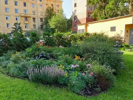 Двор советов