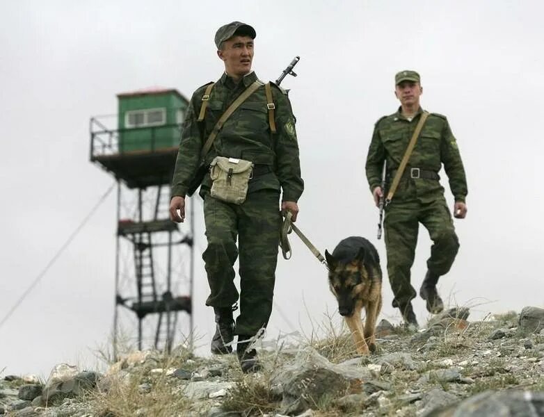 Сколько времени стоять на границе