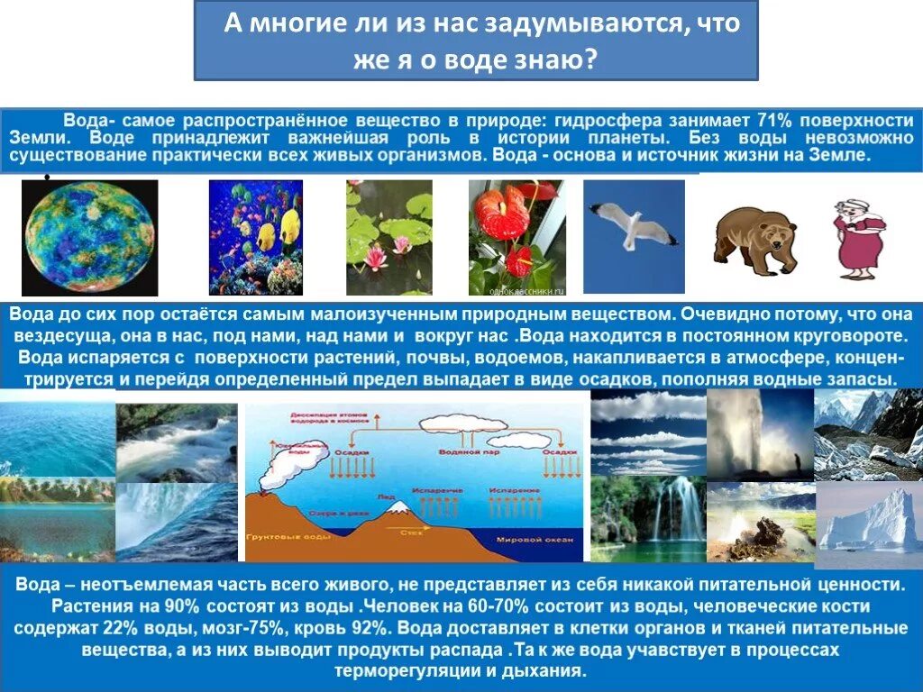 Какого влияние человека на гидросферу. Функции гидросферы. Роль гидросферы в природе. Роль гидросферы в жизни человека. Роль гидросферы в жизни природы.