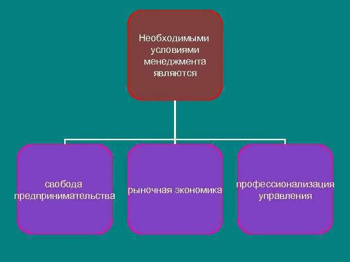 Необходимыми условиями для менеджмента являются. Условия, необходимые для свободы предпринимательства:.