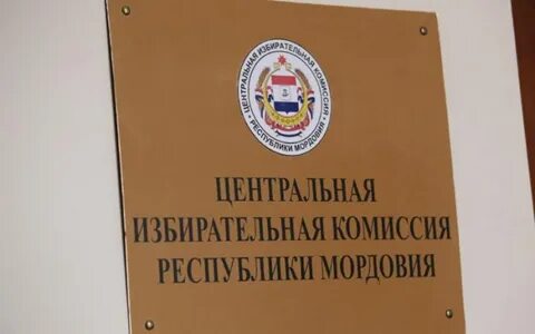 Явка в мордовии