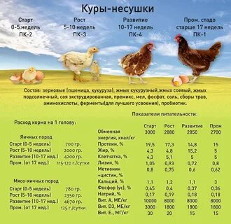 Комбикорма на корочанской