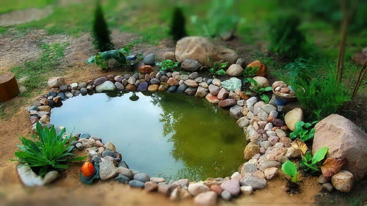 Огородный прудик. Декоративный прудик. Маленький пруд в саду. Небольшой пруд на даче. Пруд на заказ