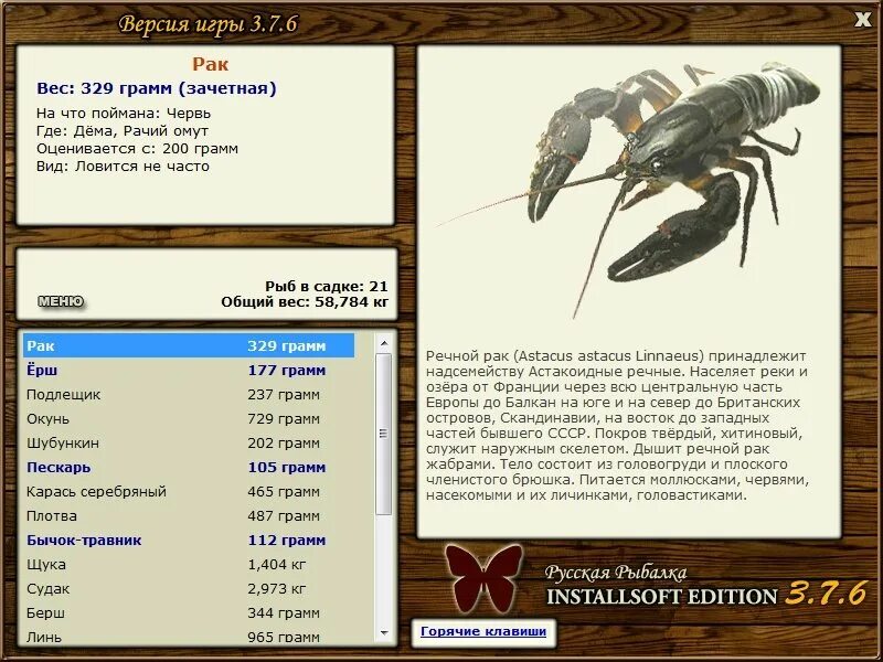 окунь 200 грамм. Rak game. Rak game. русская рыбалка 4 наживка мотыль. онкология дота 2.