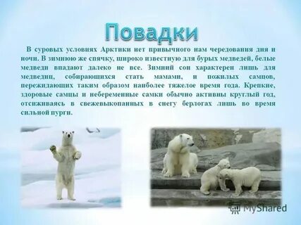 Какие повадки животных