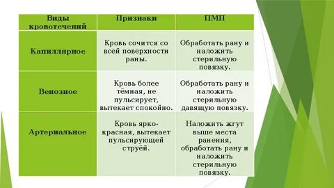 Виды кровотечений и их признаки