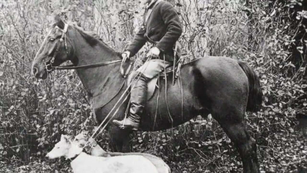 Солдат управляющий конной упряжкой. Охота на лошадях. Охотник на лошади.